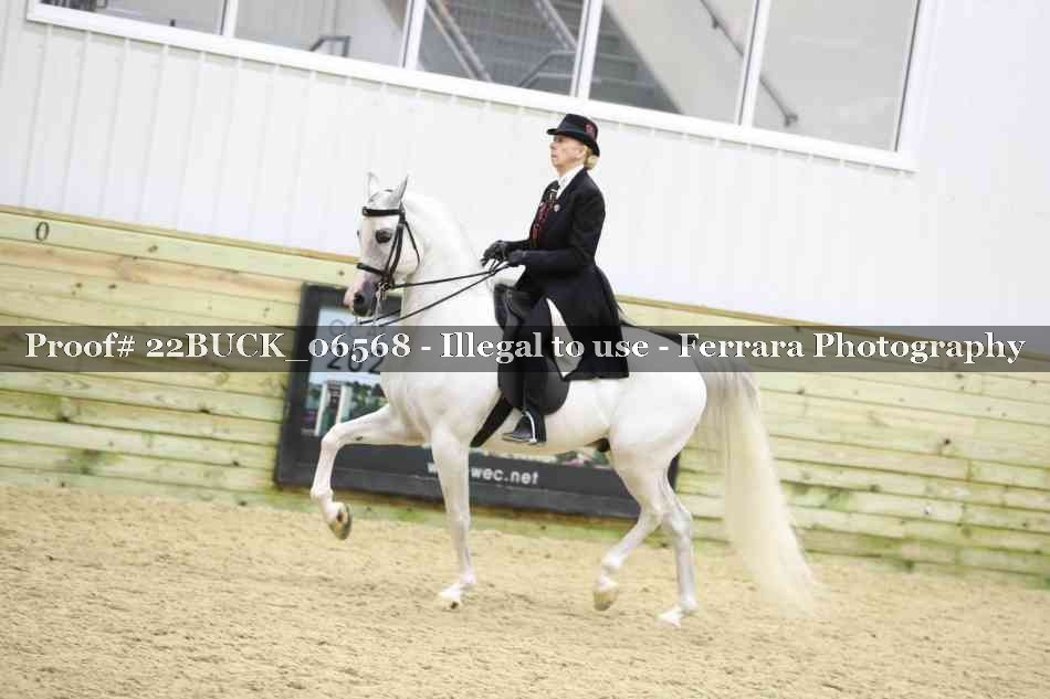 Proof 22BUCK_06568