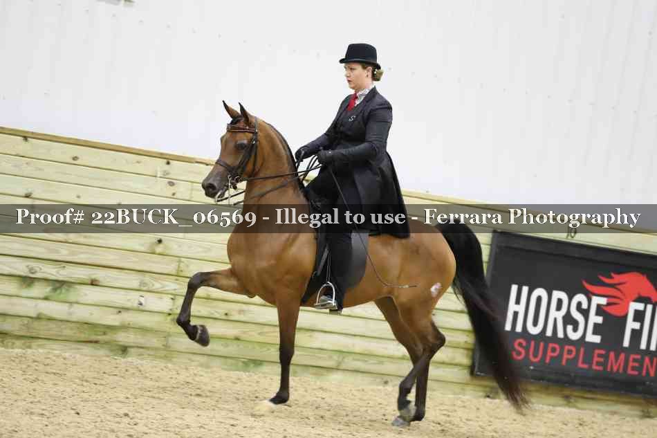 Proof 22BUCK_06569