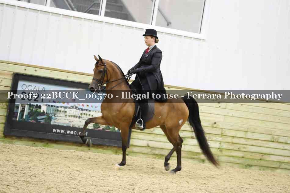 Proof 22BUCK_06570