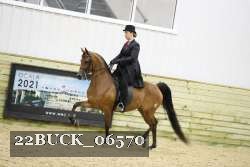 22BUCK_06570 proof