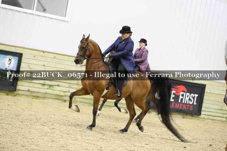 Proof 22BUCK_06571