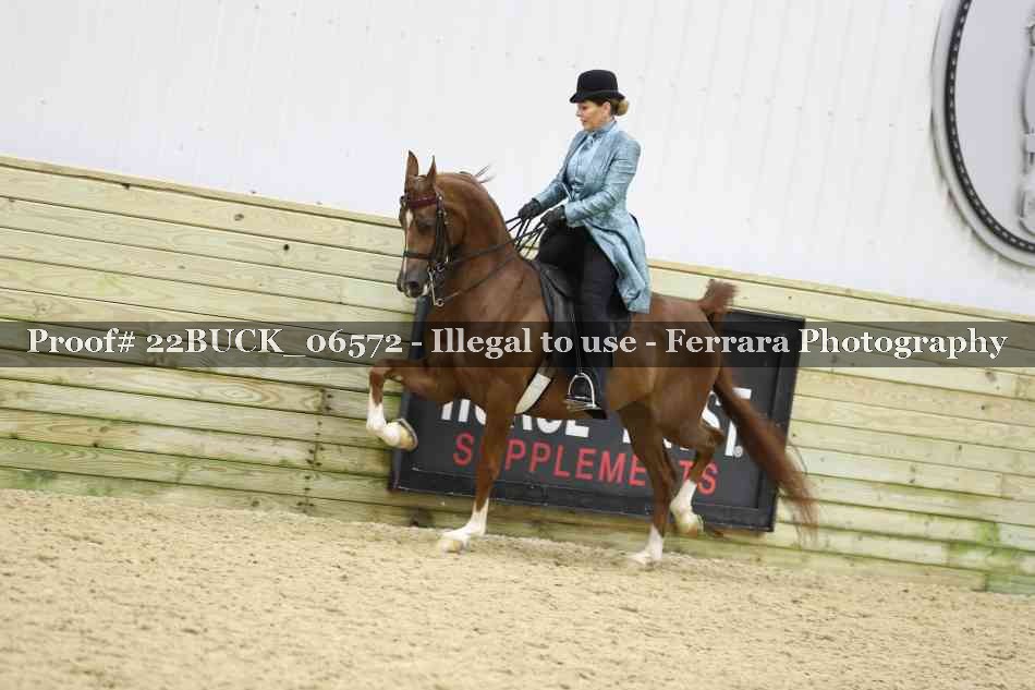 Proof 22BUCK_06572