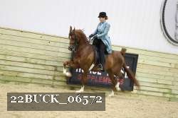 22BUCK_06572 proof