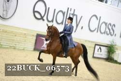 22BUCK_06573 proof
