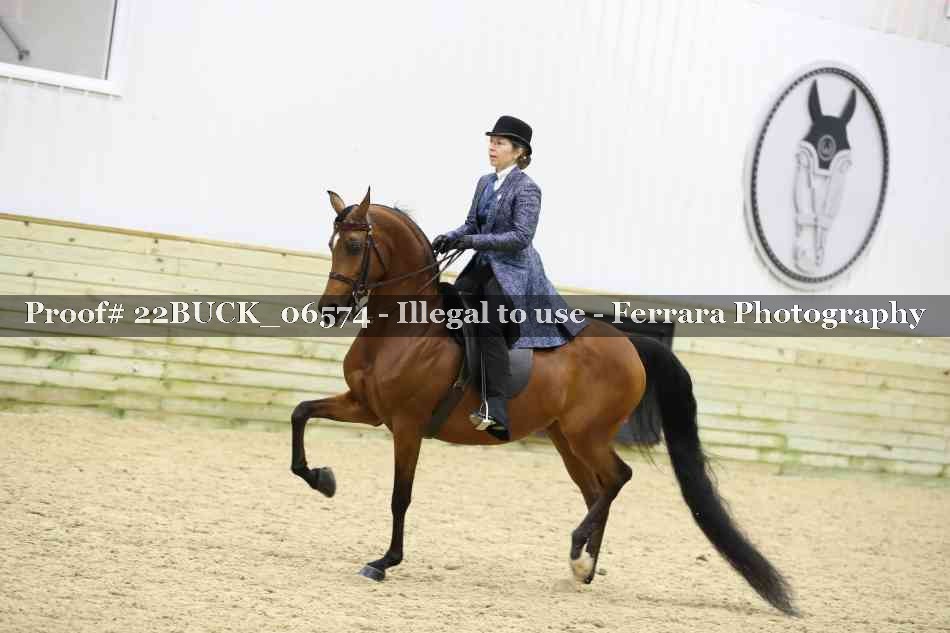 Proof 22BUCK_06574