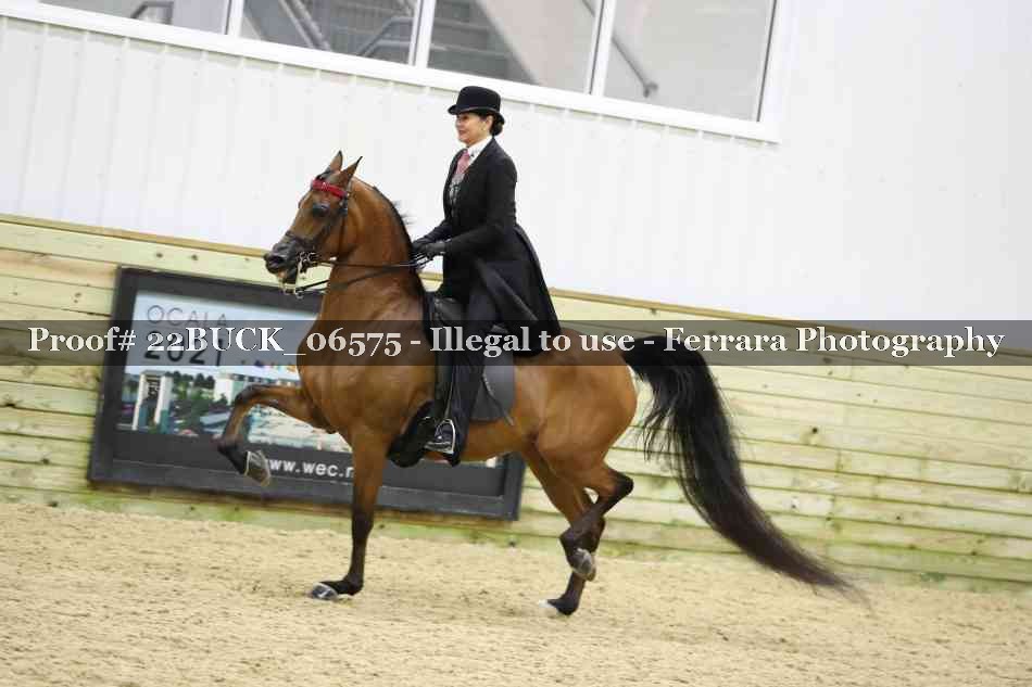 Proof 22BUCK_06575