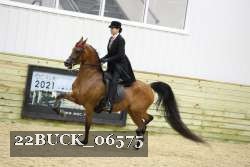 22BUCK_06575 proof