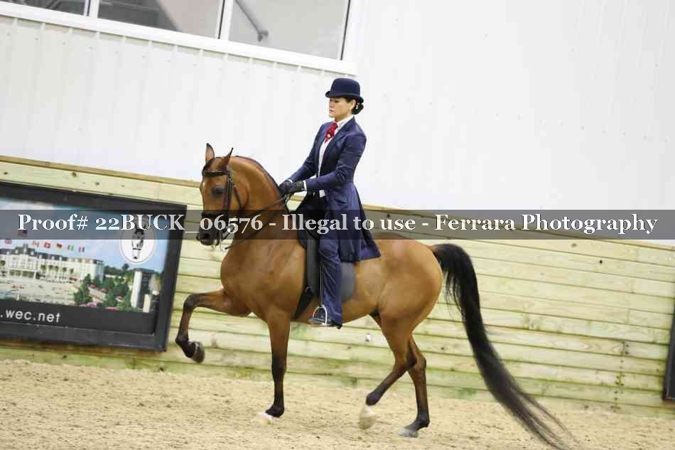 Proof 22BUCK_06576