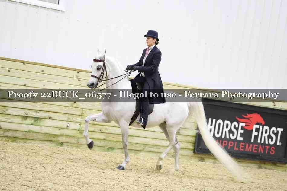 Proof 22BUCK_06577