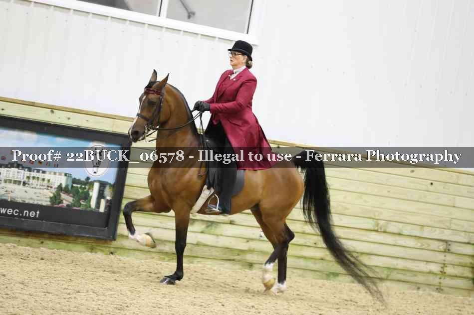 Proof 22BUCK_06578