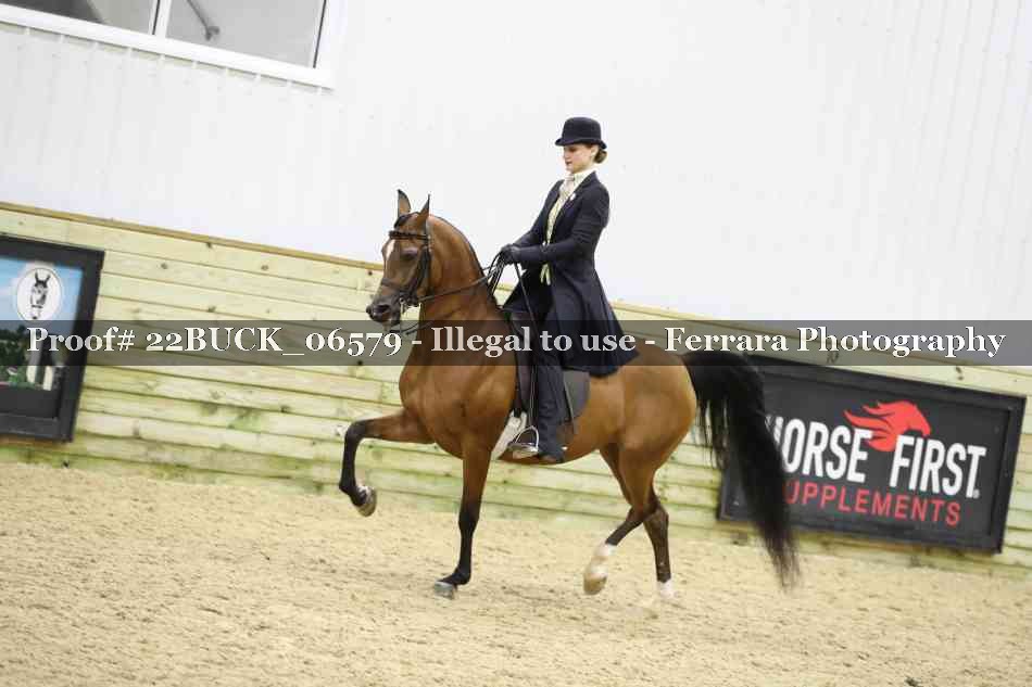 Proof 22BUCK_06579