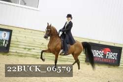 22BUCK_06579 proof