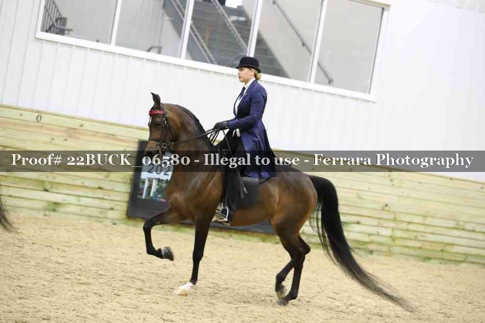 Proof 22BUCK_06580