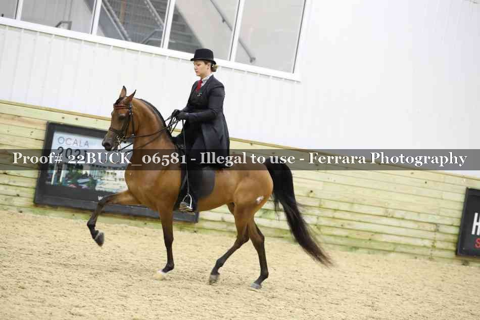 Proof 22BUCK_06581