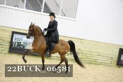 22BUCK_06581 proof
