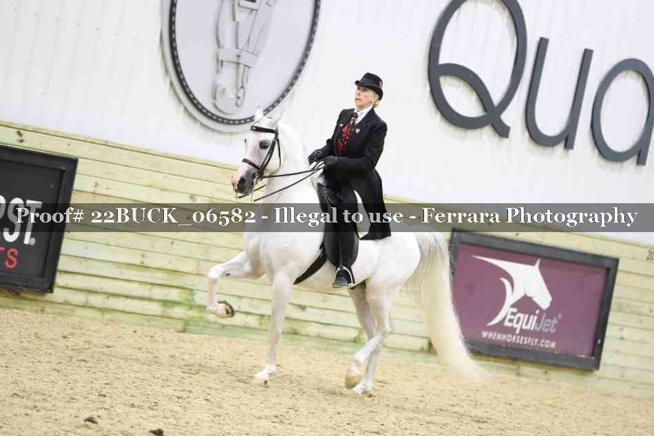 Proof 22BUCK_06582