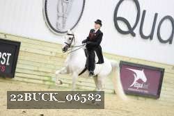 22BUCK_06582 proof