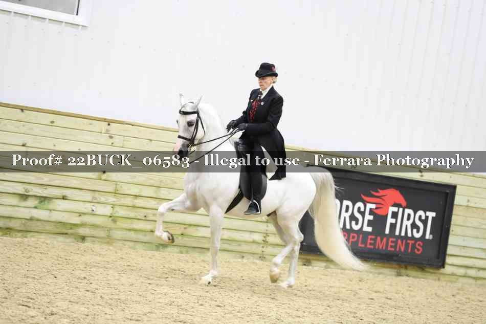 Proof 22BUCK_06583