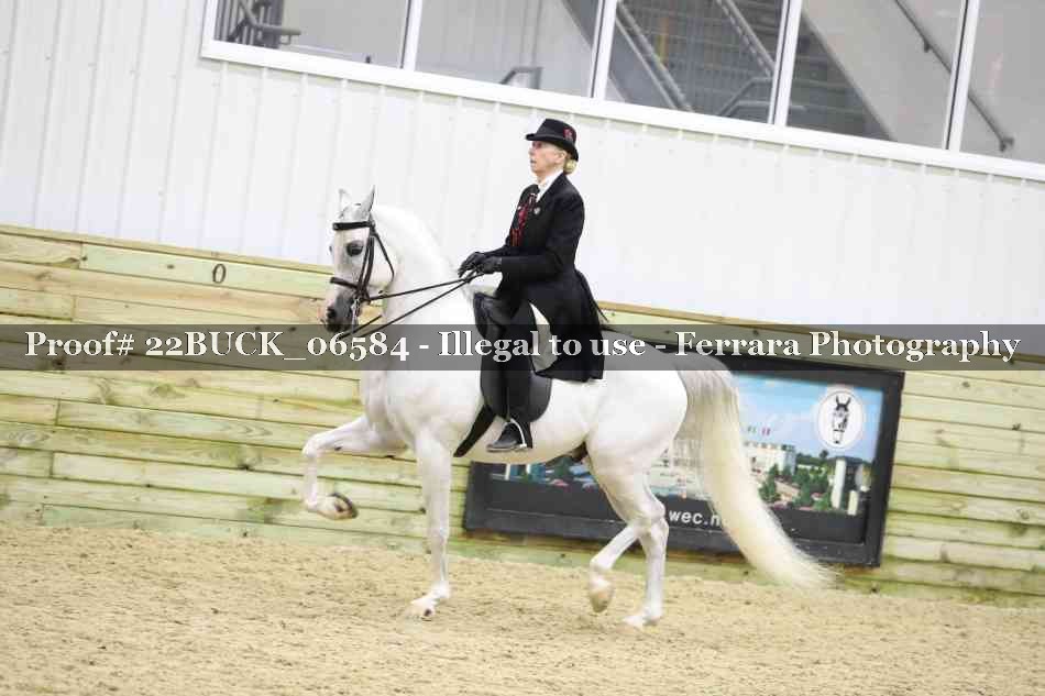 Proof 22BUCK_06584