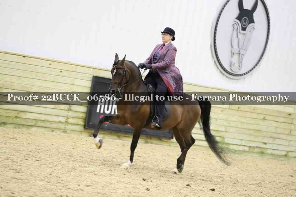 Proof 22BUCK_06586