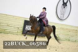 22BUCK_06586 proof