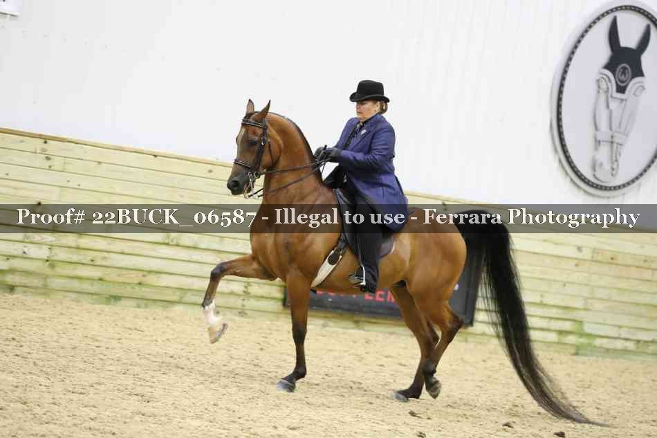 Proof 22BUCK_06587