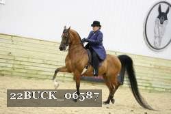 22BUCK_06587 proof