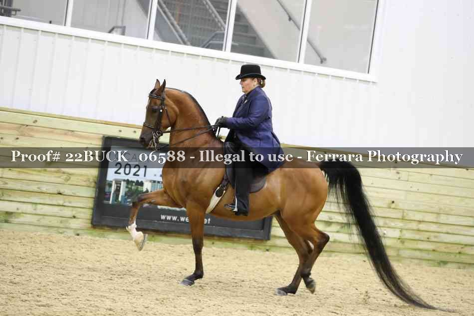 Proof 22BUCK_06588