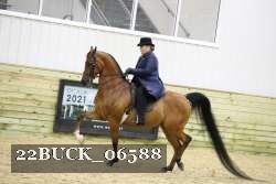 22BUCK_06588 proof