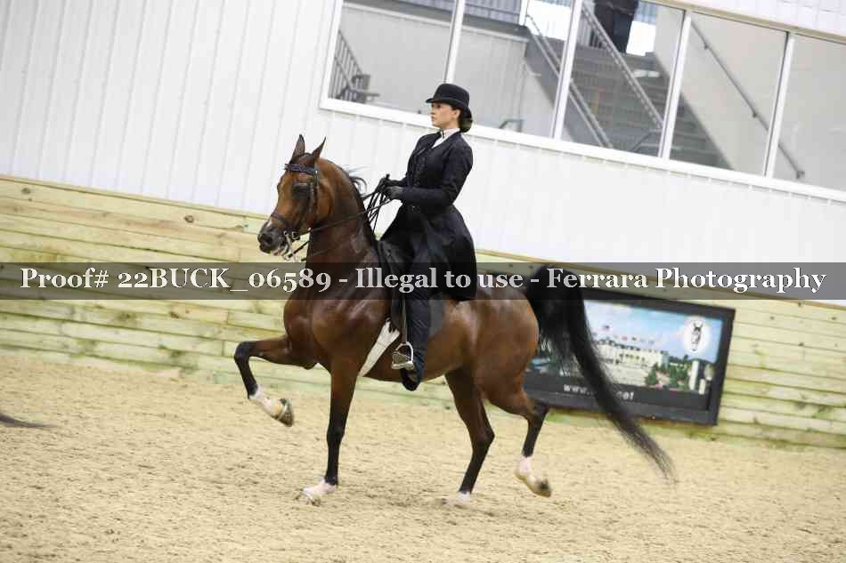 Proof 22BUCK_06589