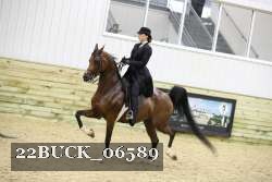 22BUCK_06589 proof