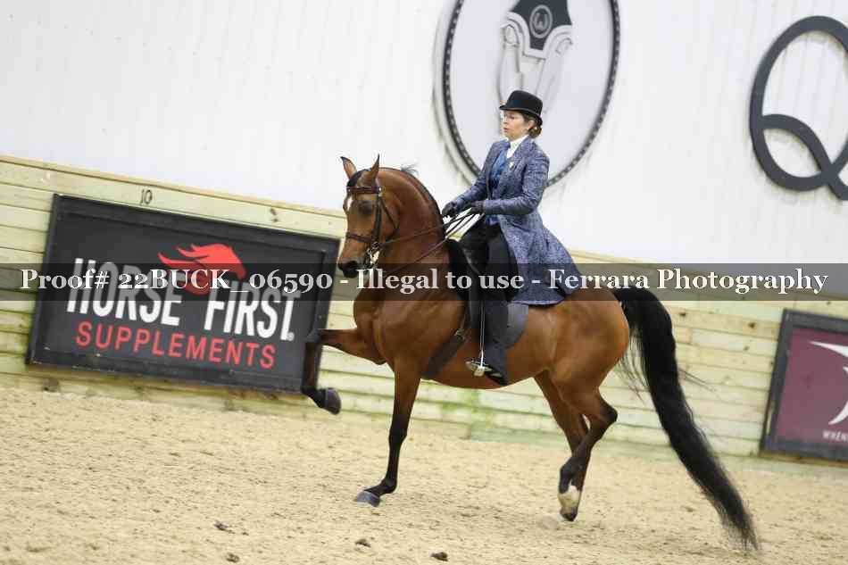 Proof 22BUCK_06590
