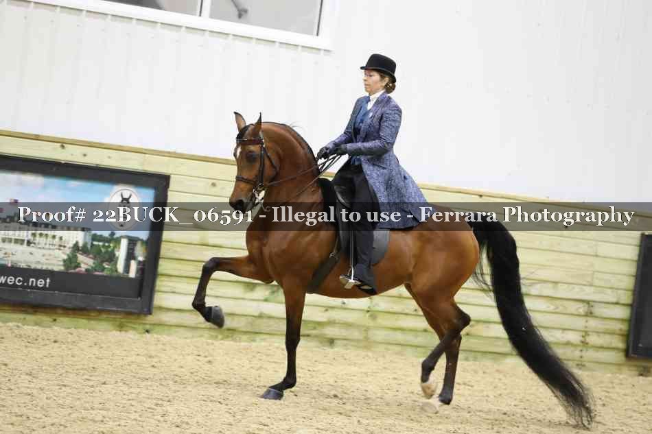 Proof 22BUCK_06591