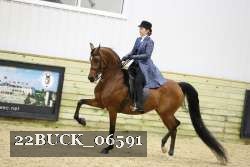 22BUCK_06591 proof
