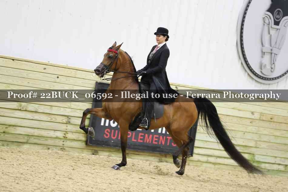 Proof 22BUCK_06592