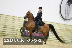 22BUCK_06592 proof