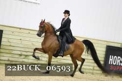 22BUCK_06593 proof