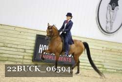 22BUCK_06594 proof