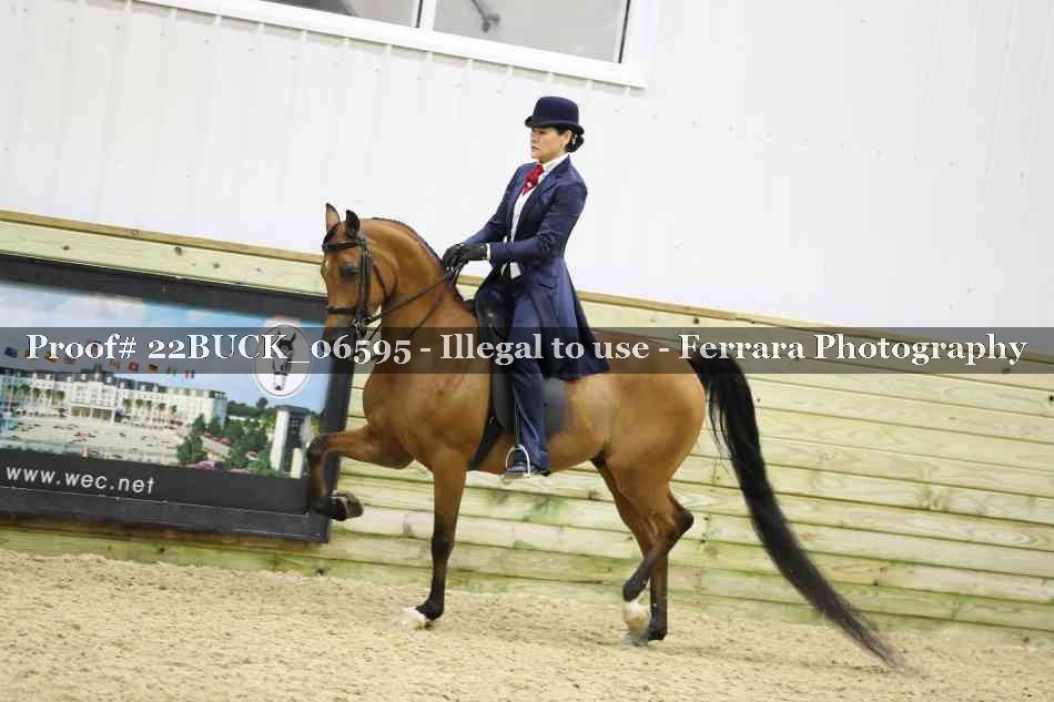 Proof 22BUCK_06595