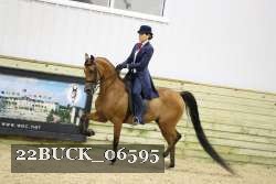 22BUCK_06595 proof