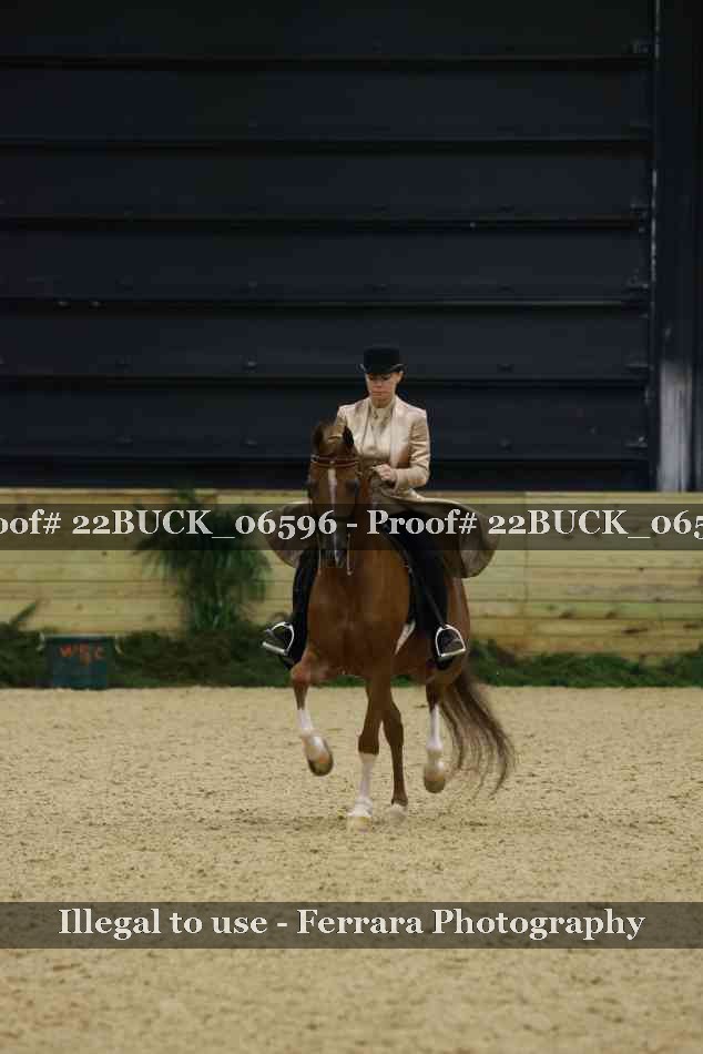 Proof 22BUCK_06596
