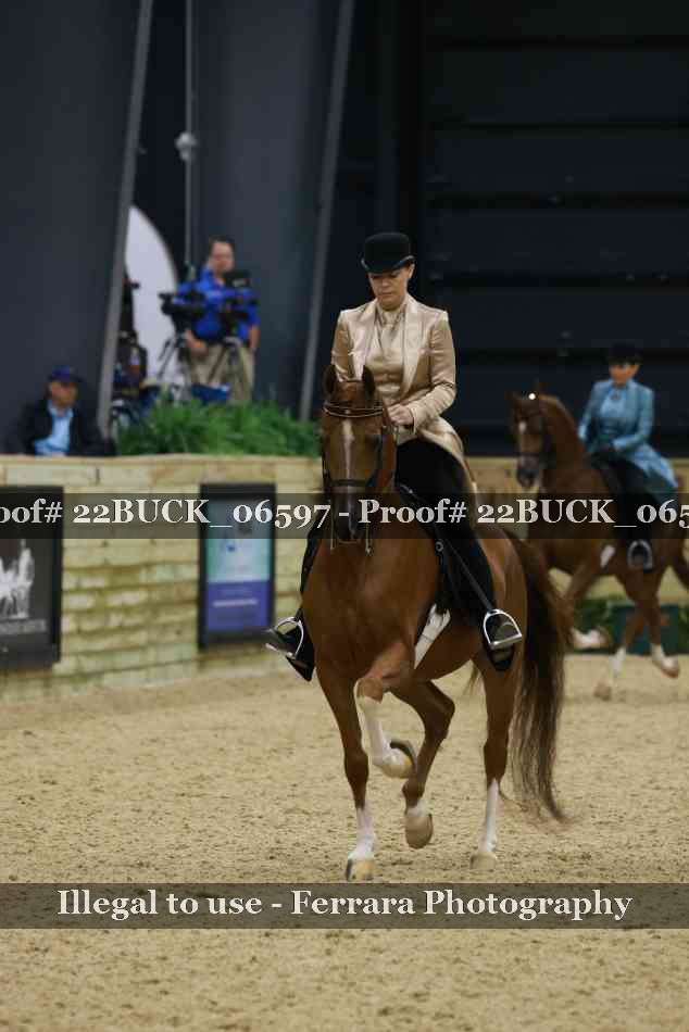 Proof 22BUCK_06597