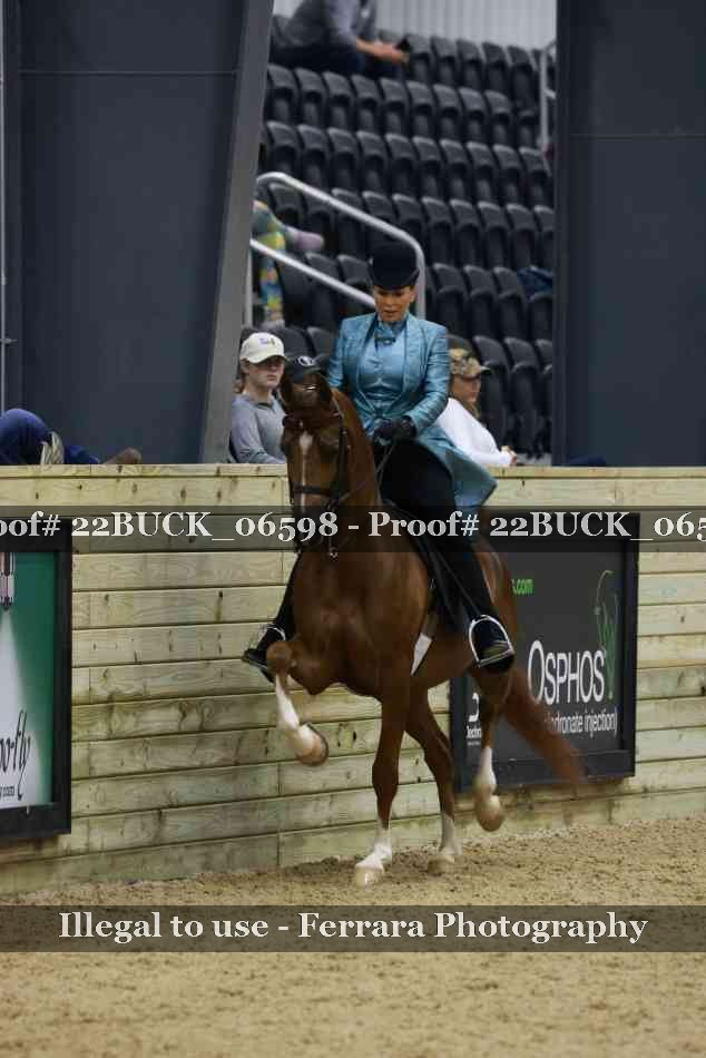 Proof 22BUCK_06598