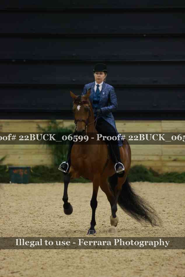 Proof 22BUCK_06599