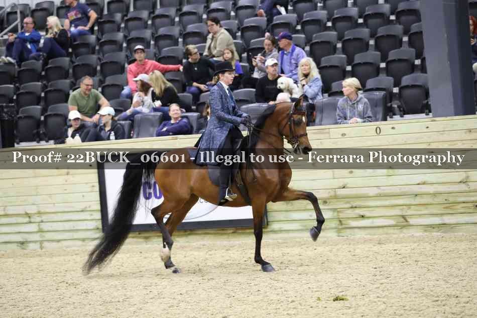 Proof 22BUCK_06601