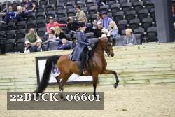 22BUCK_06601 proof