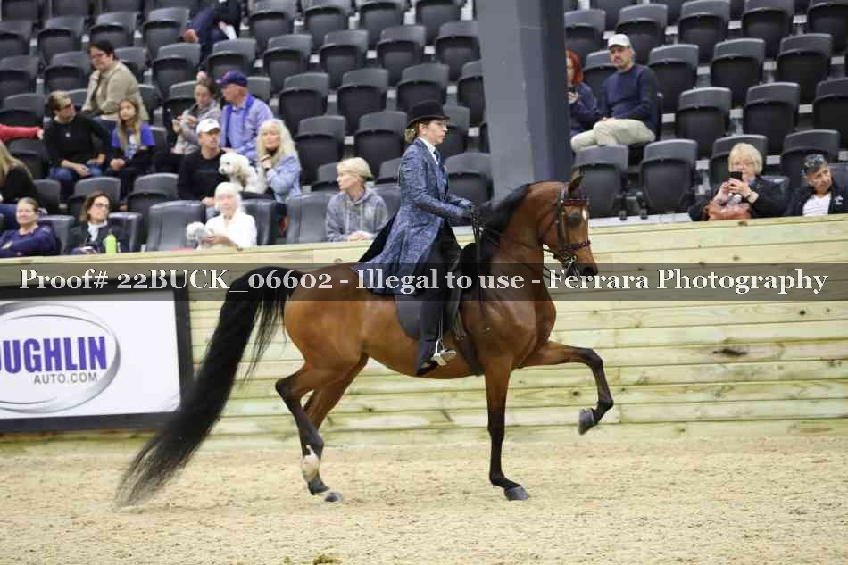 Proof 22BUCK_06602