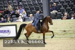 22BUCK_06602 proof
