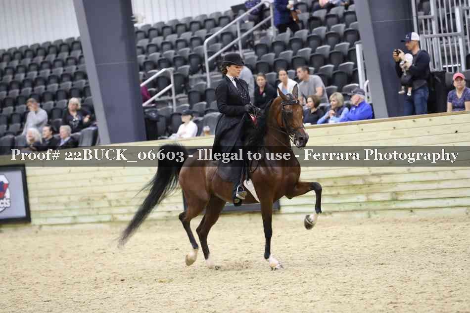 Proof 22BUCK_06603