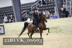 22BUCK_06603 proof